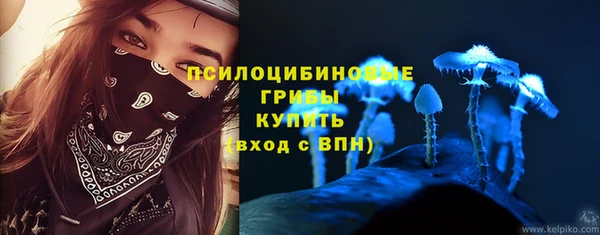 СК Магадан