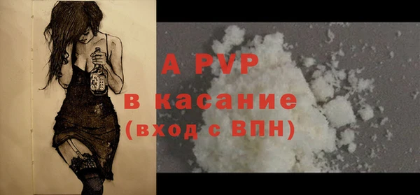 индика Магас