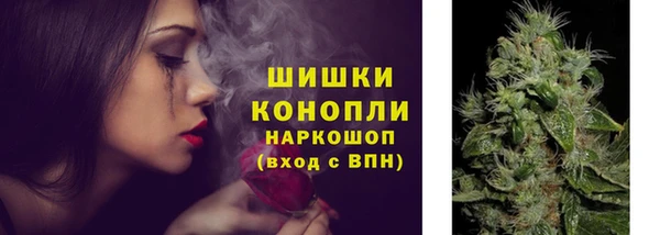 стаф Майский