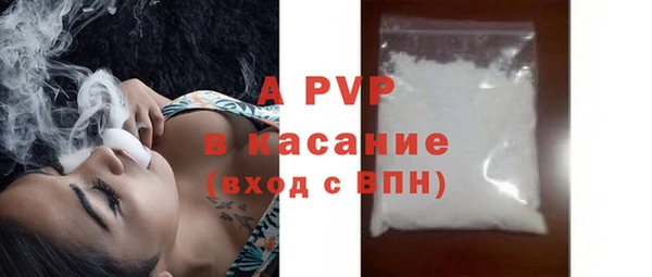 индика Магас