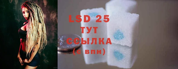 индика Магас