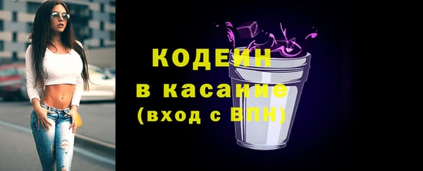 индика Магас