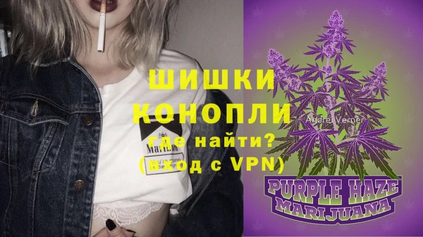 индика Магас