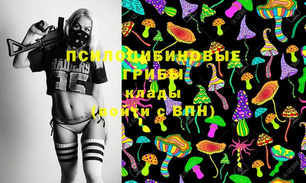 СК Магадан