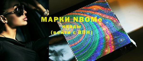 индика Магас